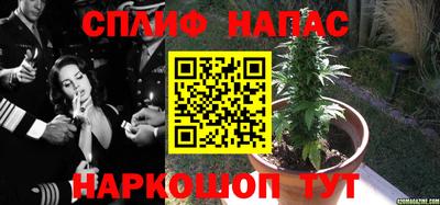 ALPHA-PVP Бердск