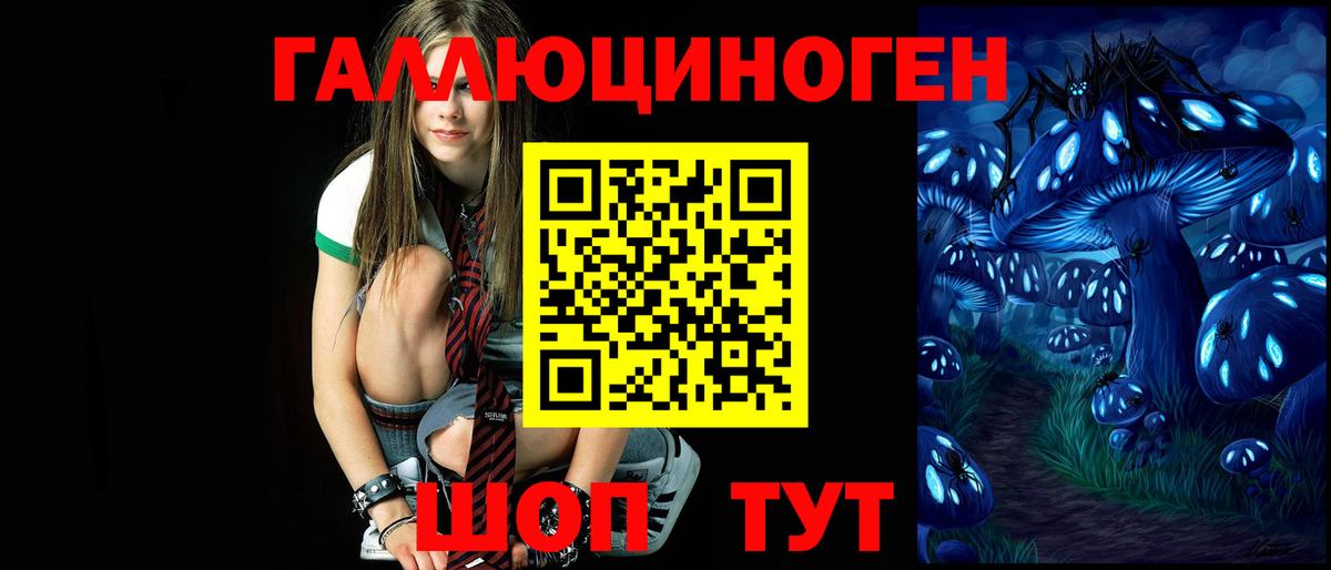 Галлюциногенные грибы мицелий  Вход с VPN  Будённовск  Галлюциногенные грибы Psilocybine cubensis 